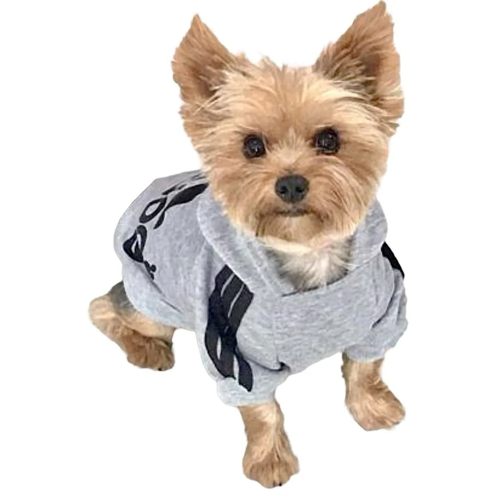ADIDOG Tracksuit with Hoodie in Gray - BRAND NEW
